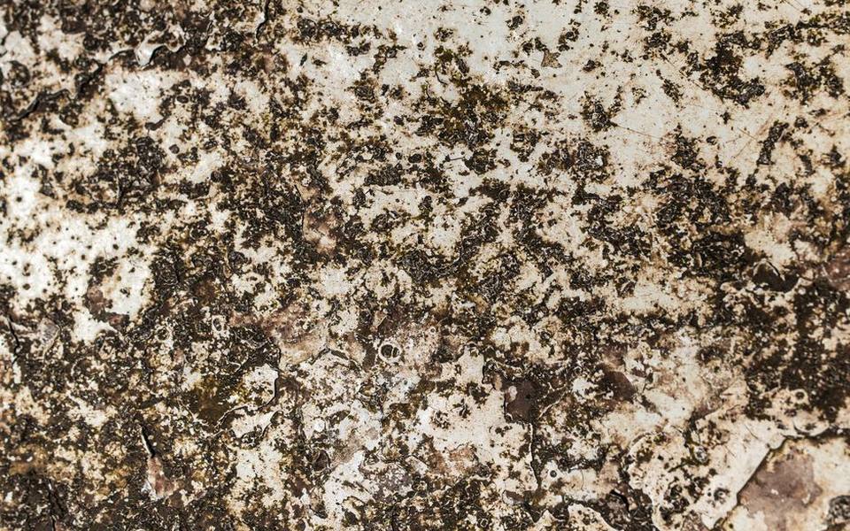 Removing Rust Stains from Everyday Fabrics